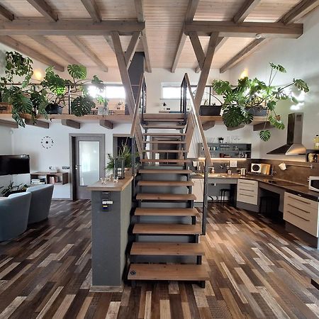 Apartmany Pod Lesem II Rodvinov Экстерьер фото